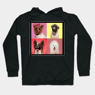 college dog Hoodie